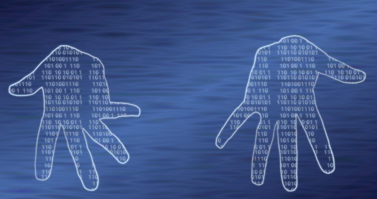 información y contenido